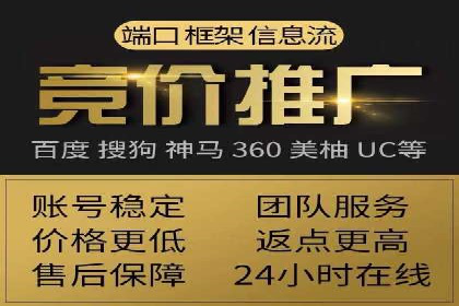 案例解析：百度推广排名提升的实战技巧