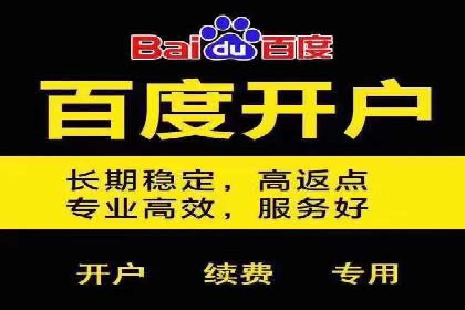百度推广实战案例分享